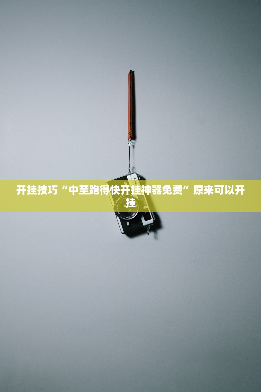 玩家辅助神器：哈灵斗地主记牌器”(透视)其实确实有挂