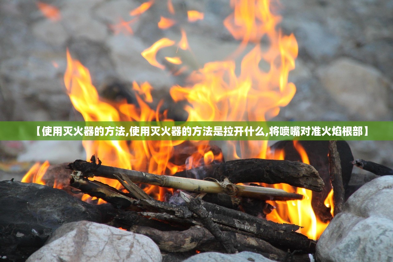 【使用灭火器的方法,使用灭火器的方法是拉开什么,将喷嘴对准火焰根部】
