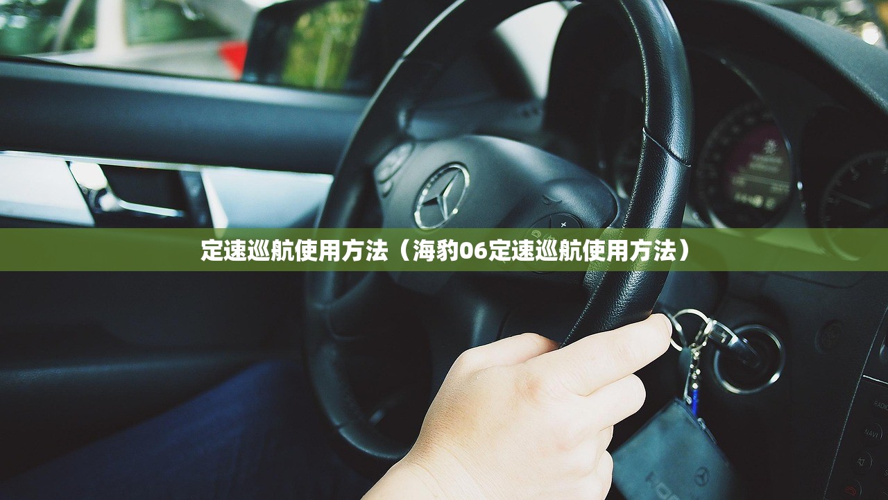 定速巡航使用方法（海豹06定速巡航使用方法）