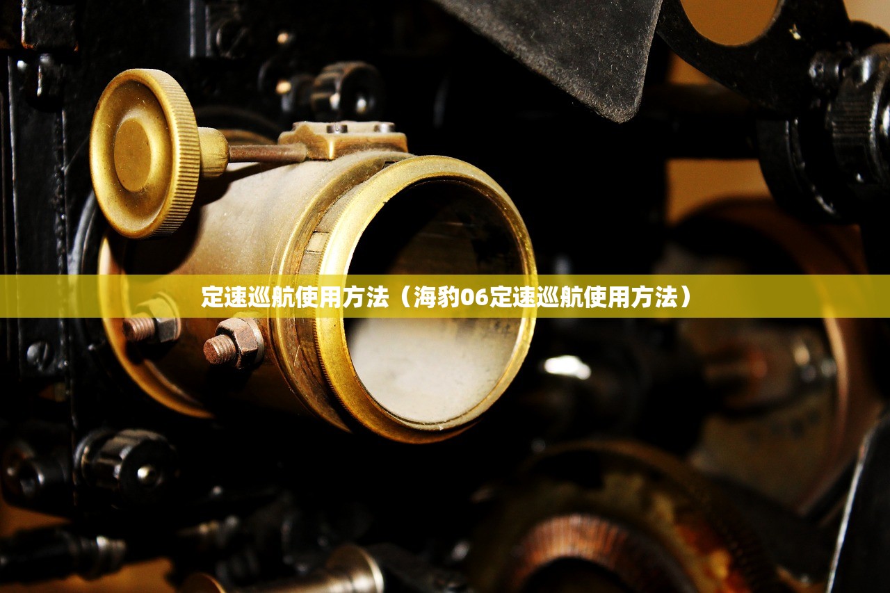 定速巡航使用方法（海豹06定速巡航使用方法）