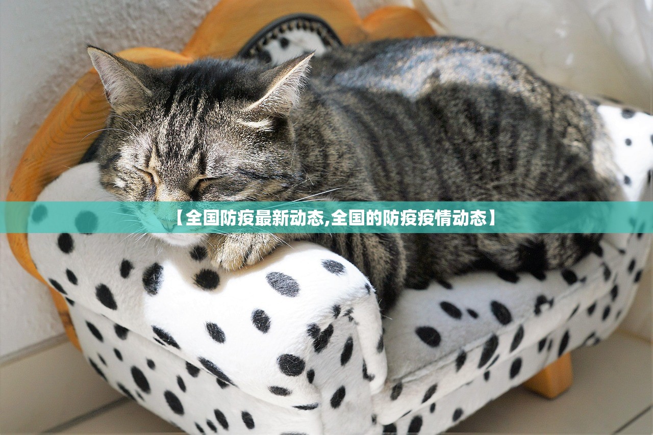 教程分享“拱趴十三水怎么样能赢”科技辅助神器手机版