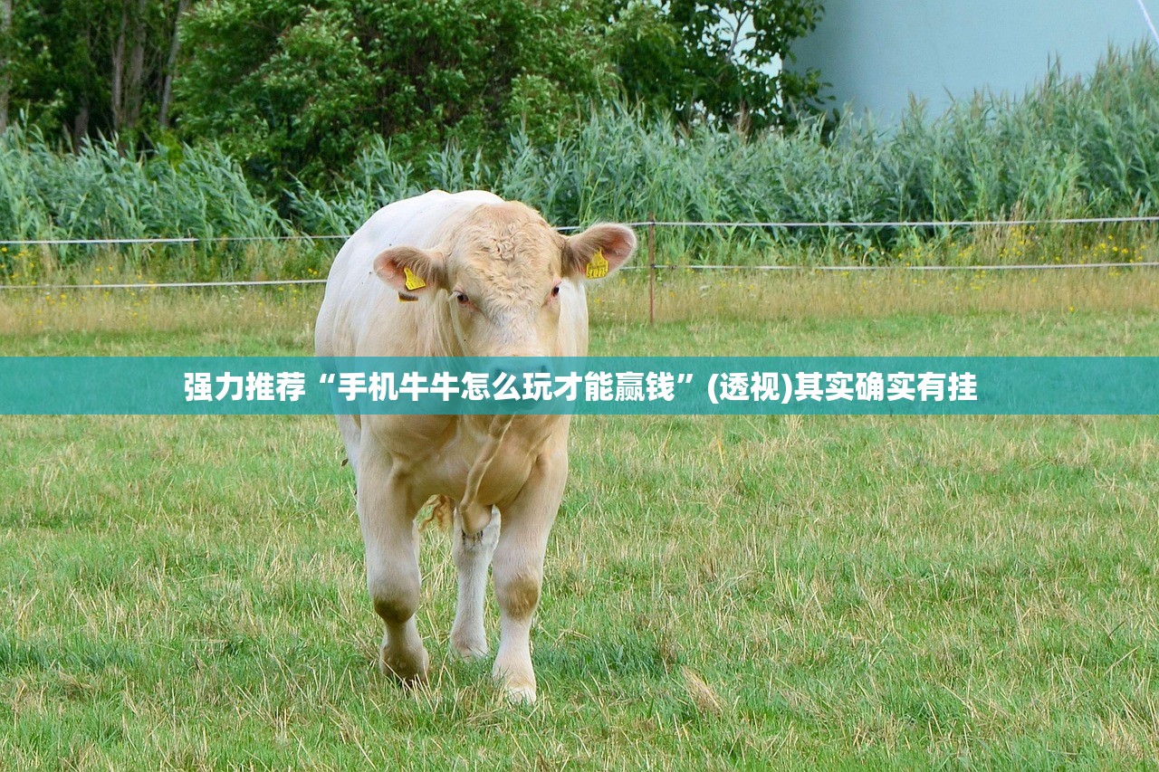 强力推荐“手机牛牛怎么玩才能赢钱”(透视)其实确实有挂