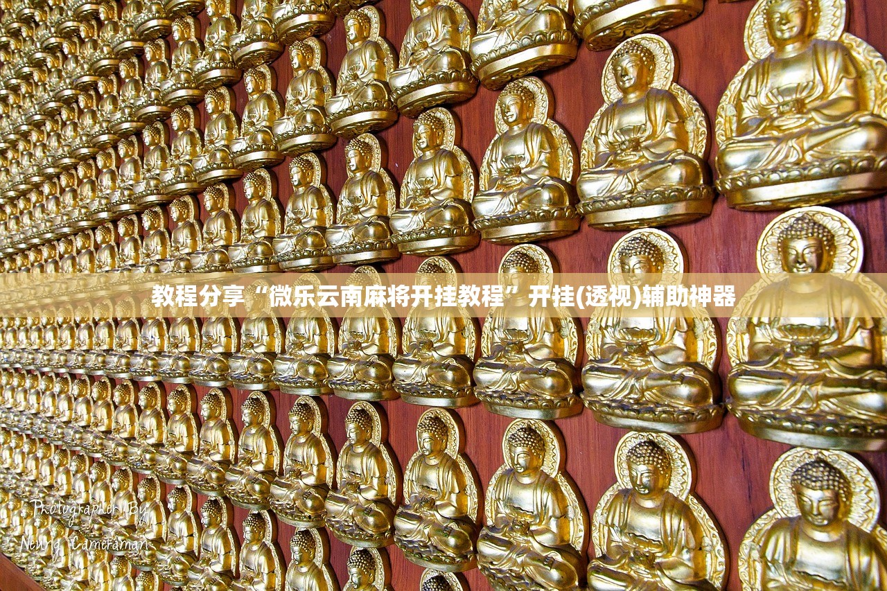 31省区市新增25例:31省区市新增25例确诊
