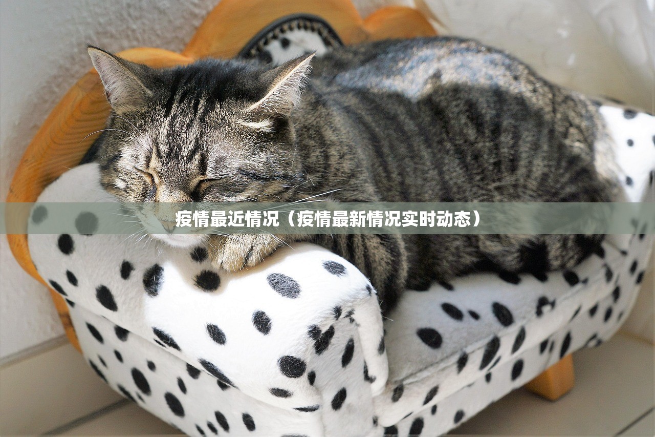 疫情最近情况(疫情最新情况实时动态) 疫情最近情况(疫情最新情况实时动态)