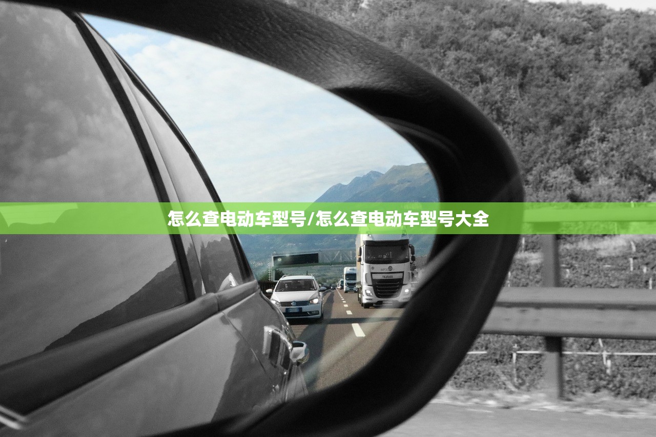 怎么查电动车型号/怎么查电动车型号大全