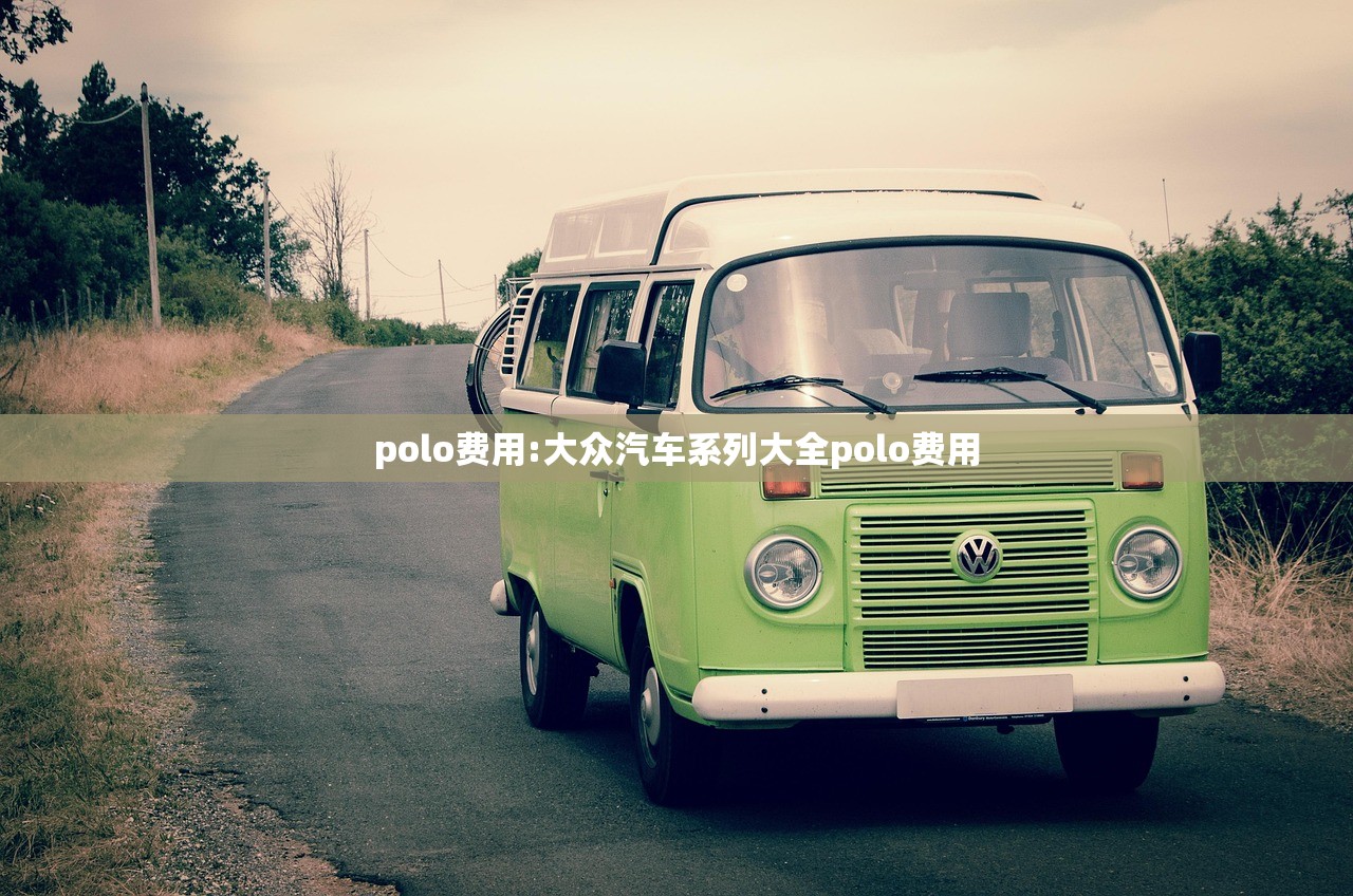 polo费用:大众汽车系列大全polo费用
