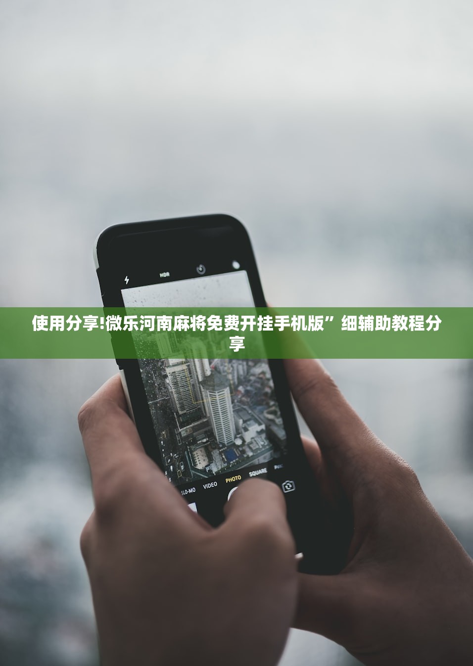 怎么查电动车型号/怎么查电动车型号大全