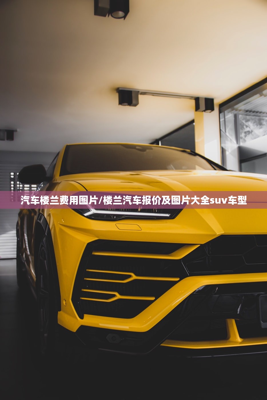 汽车楼兰费用图片/楼兰汽车报价及图片大全suv车型
