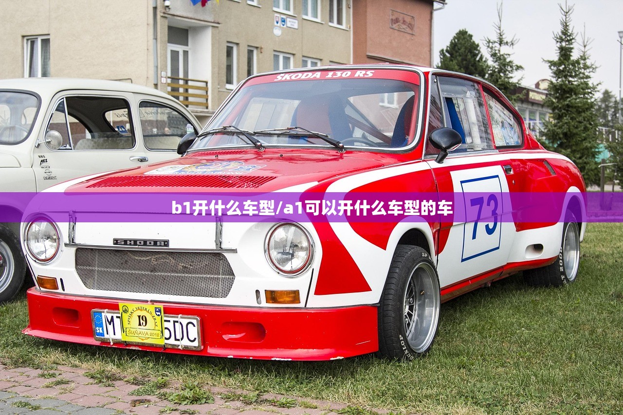b1开什么车型/a1可以开什么车型的车