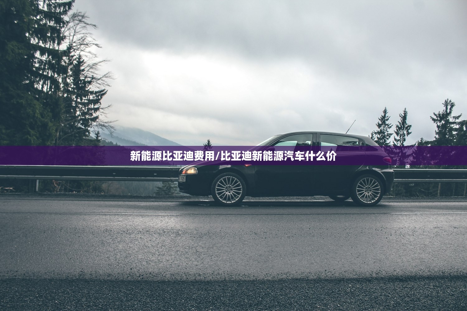新能源比亚迪费用/比亚迪新能源汽车什么价