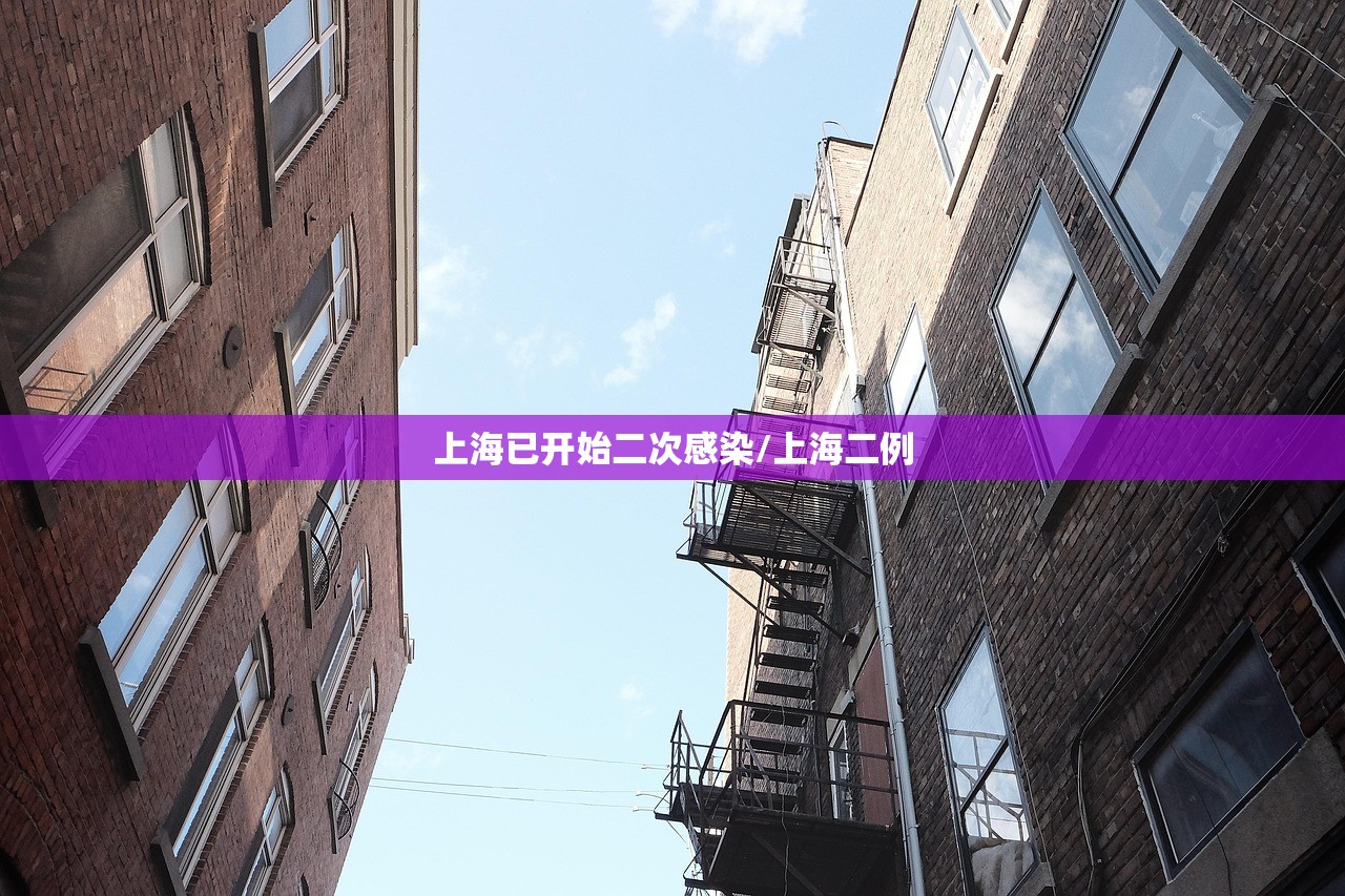 上海已开始二次感染/上海二例 上海已开始二次感染/上海二例