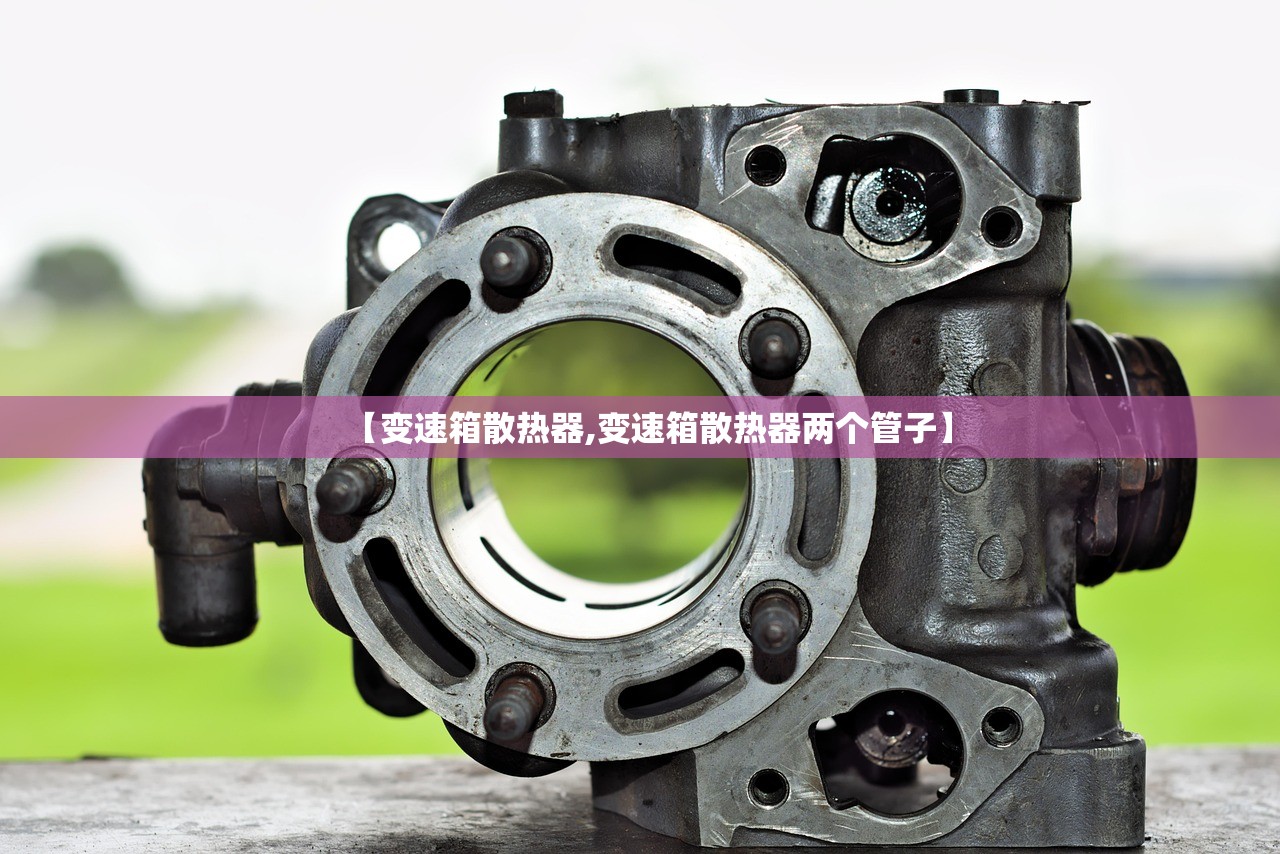 【变速箱散热器,变速箱散热器两个管子】 【变速箱散热器,变速箱散热器两个管子】