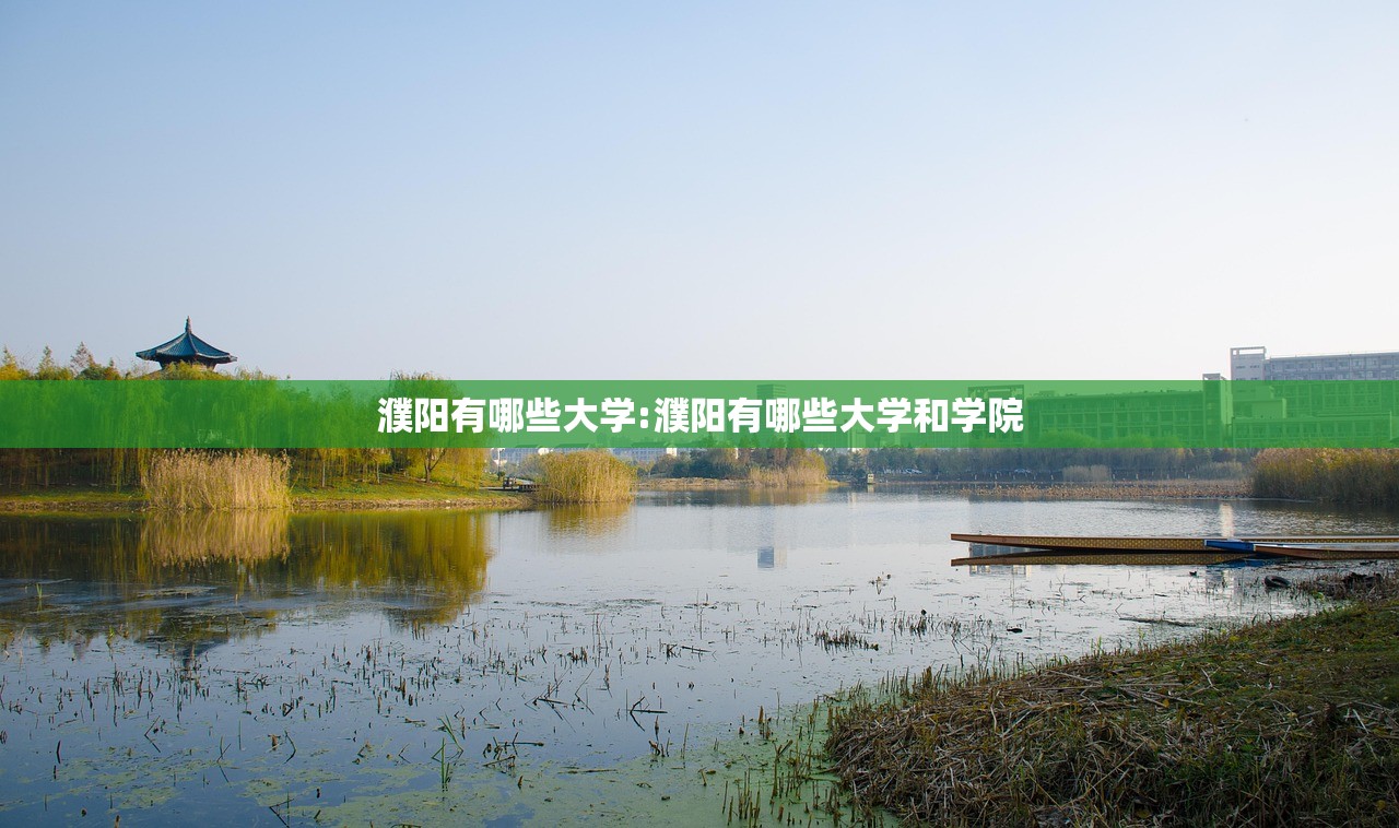 濮阳有哪些大学:濮阳有哪些大学和学院
