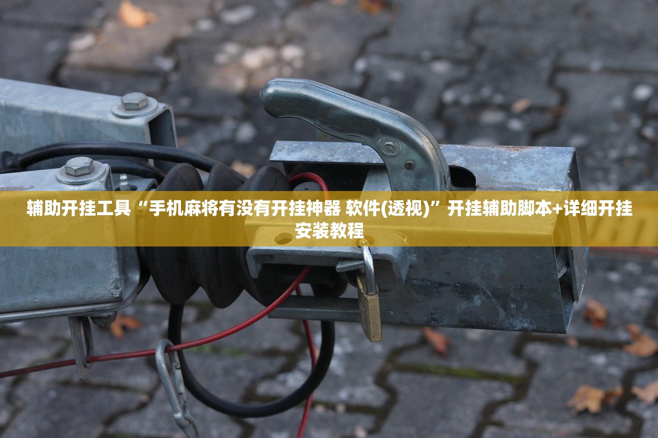 辅助开挂工具“手机麻将有没有开挂神器 软件(透视)”开挂辅助脚本+详细开挂安装教程