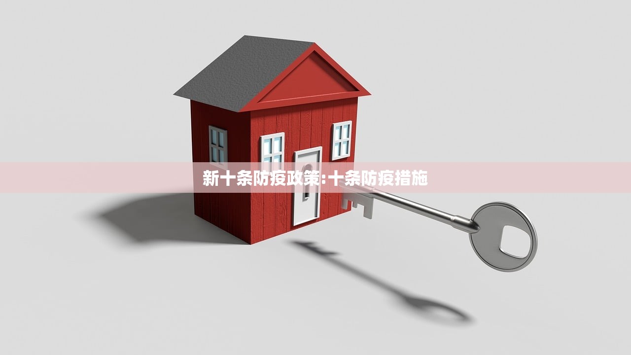 新十条防疫政策:十条防疫措施