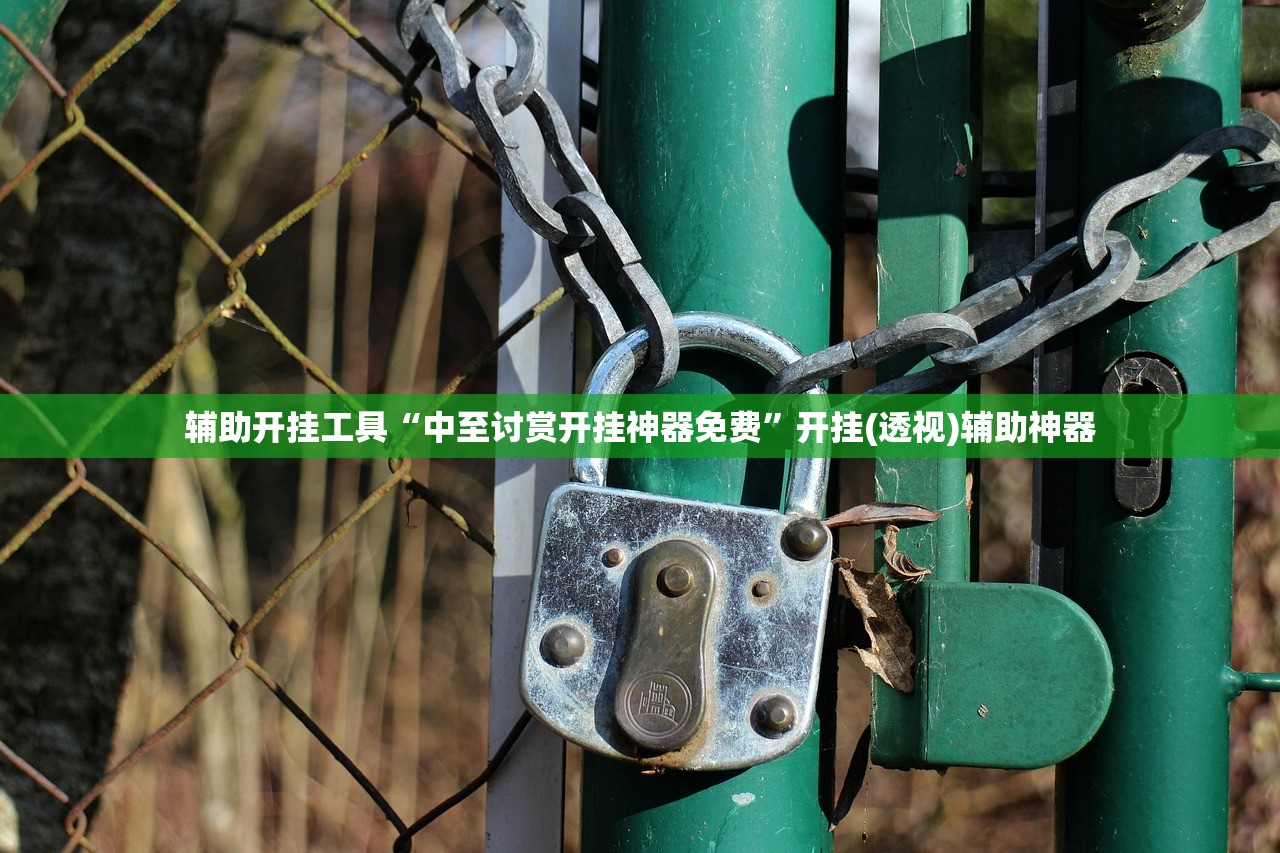 辅助开挂工具“中至讨赏开挂神器免费”开挂(透视)辅助神器