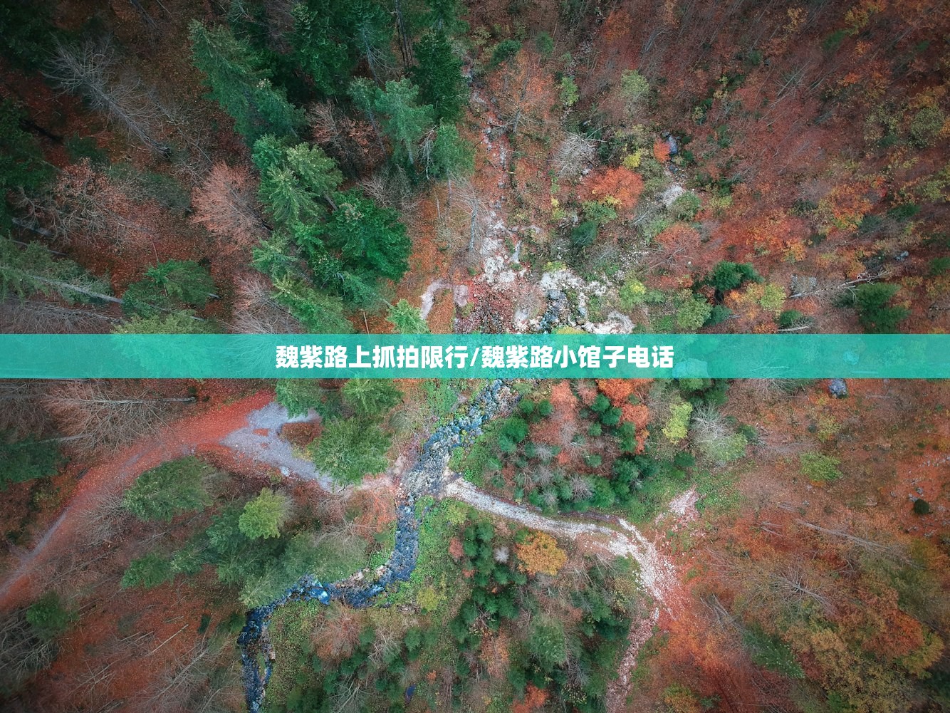 魏紫路上抓拍限行/魏紫路小馆子电话