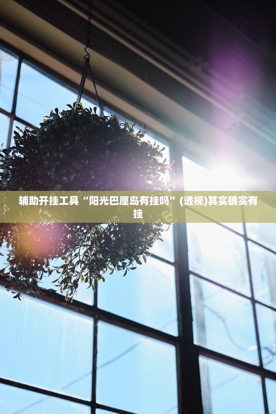 玩家辅助神器：川麻圈跑得快怎么开挂”详细分享装挂步骤