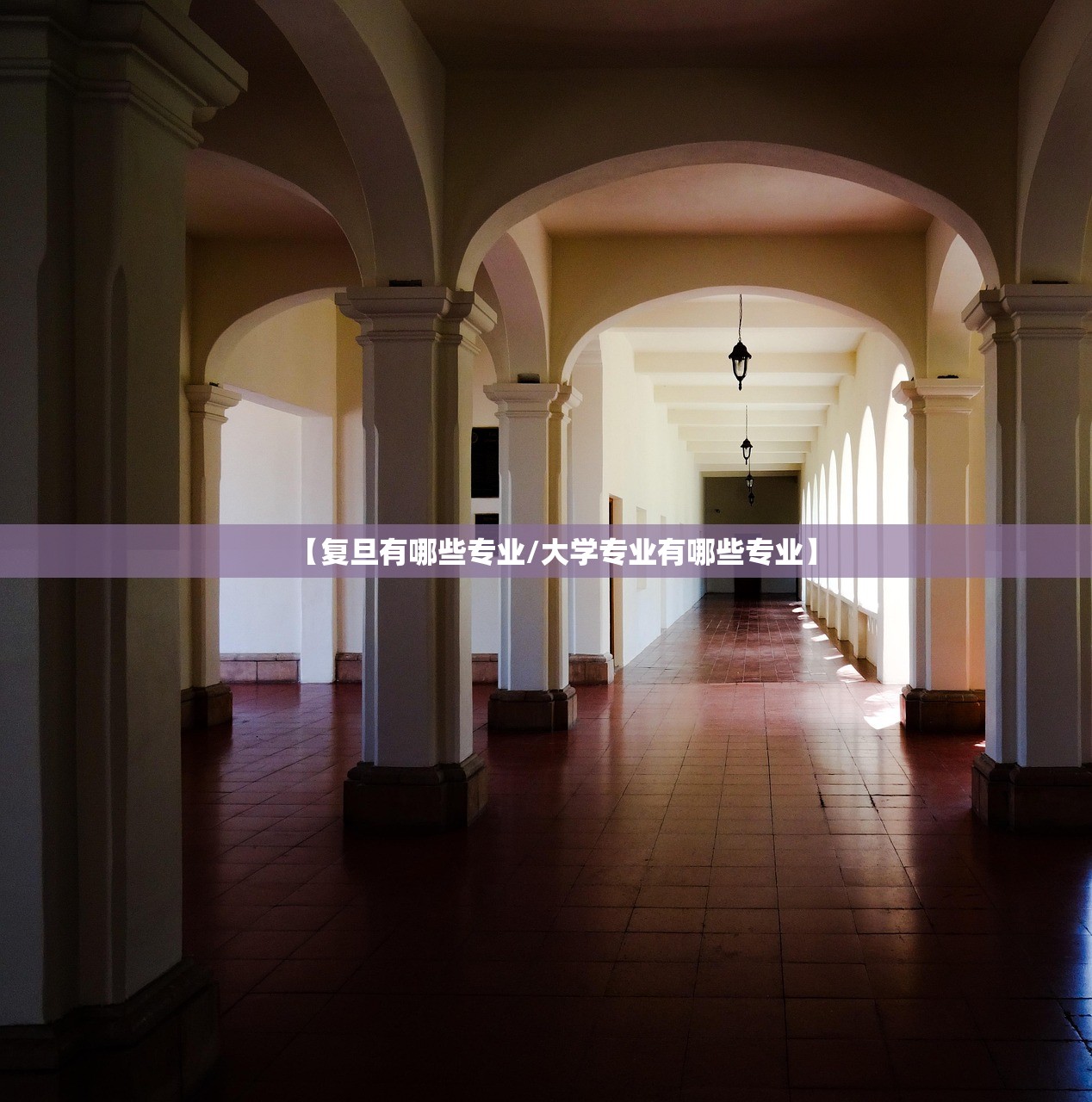 【复旦有哪些专业/大学专业有哪些专业】