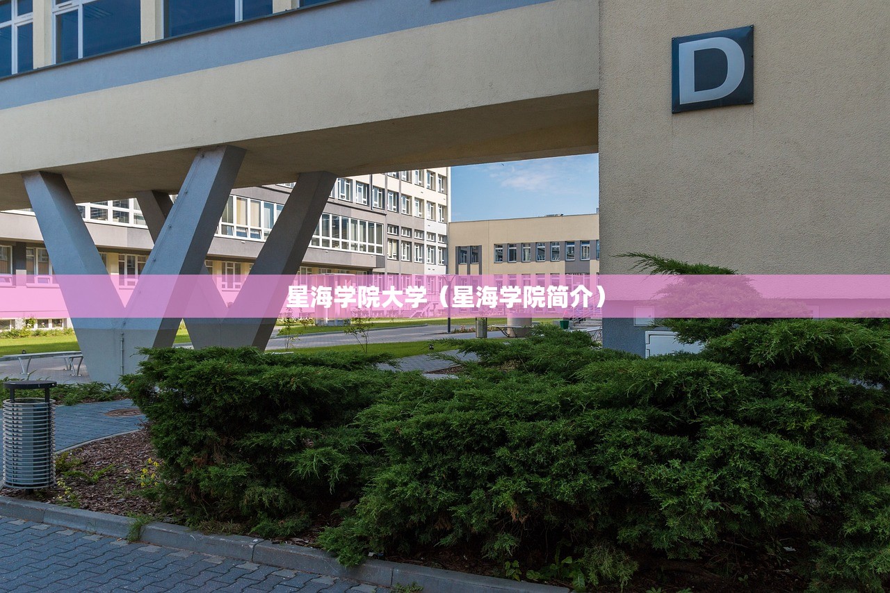星海学院大学（星海学院简介）