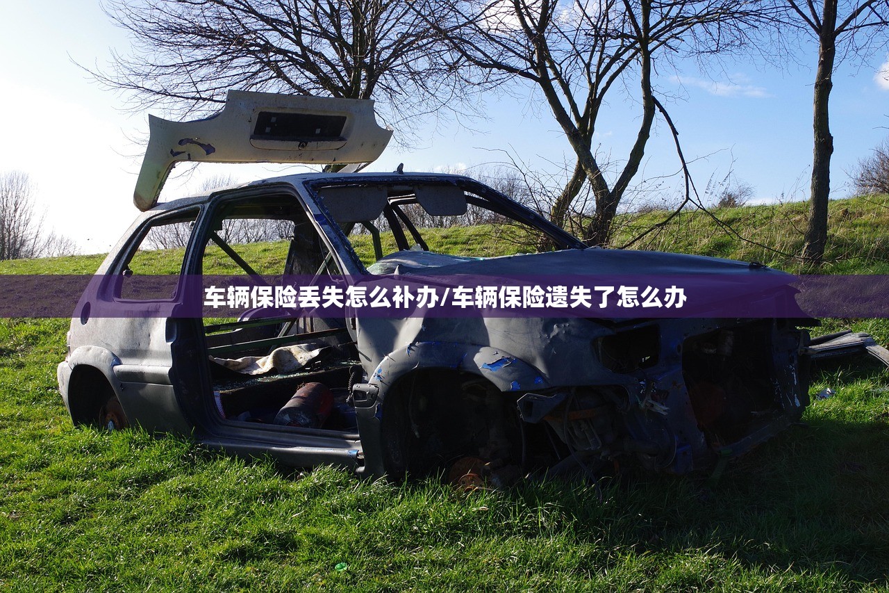 车辆保险丢失怎么补办/车辆保险遗失了怎么办