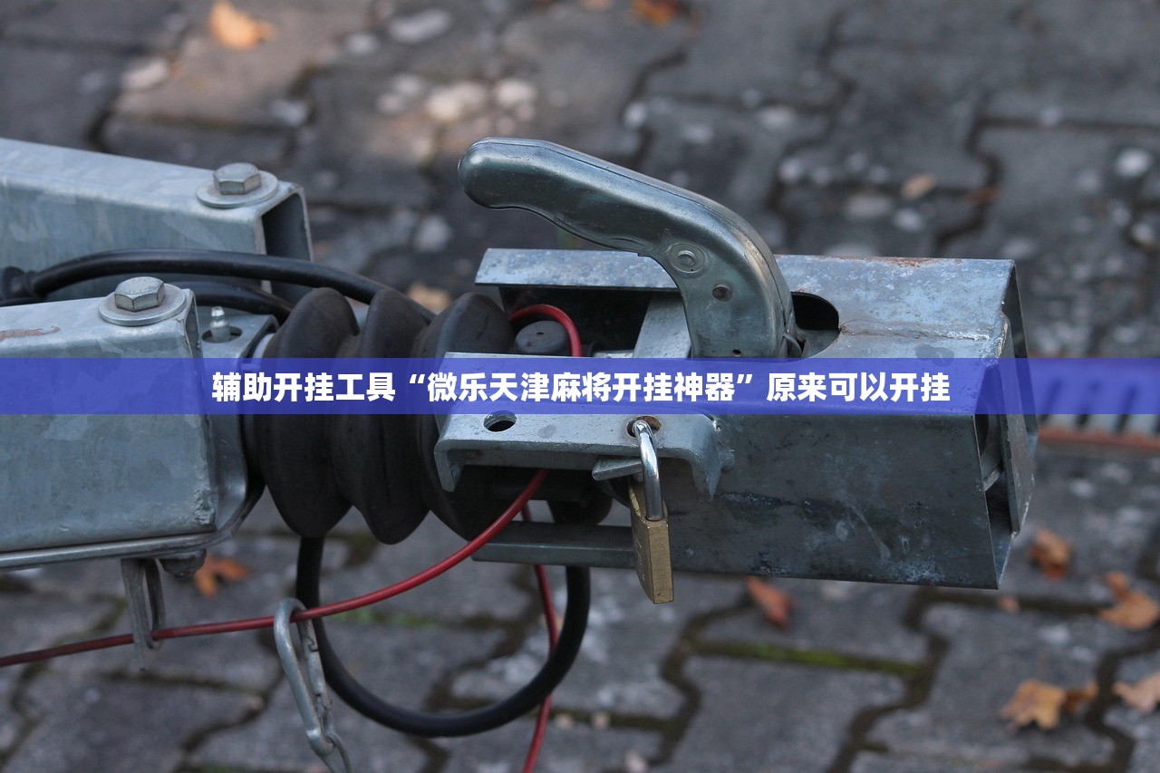 实测分享“手机微乐麻将怎么看有挂”详细分享装挂步骤