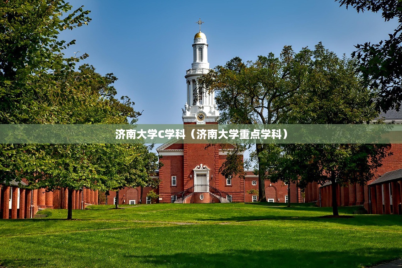 济南大学C学科（济南大学重点学科）