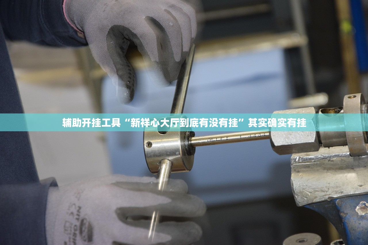 辅助开挂工具“新祥心大厅到底有没有挂”其实确实有挂