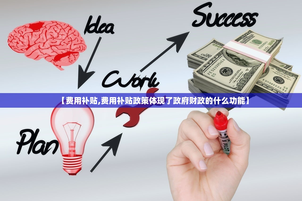 【费用补贴,费用补贴政策体现了政府财政的什么功能】