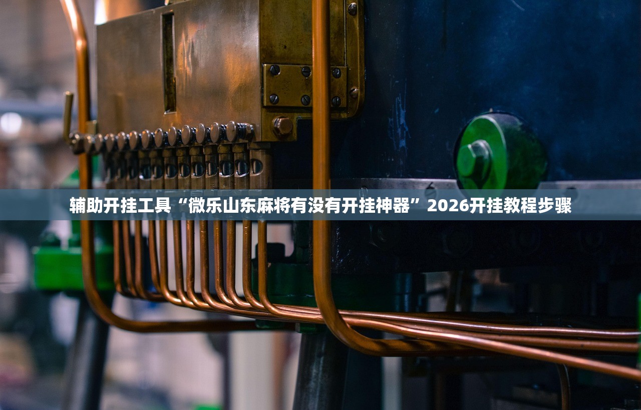 辅助开挂工具“微乐山东麻将有没有开挂神器”2026开挂教程步骤