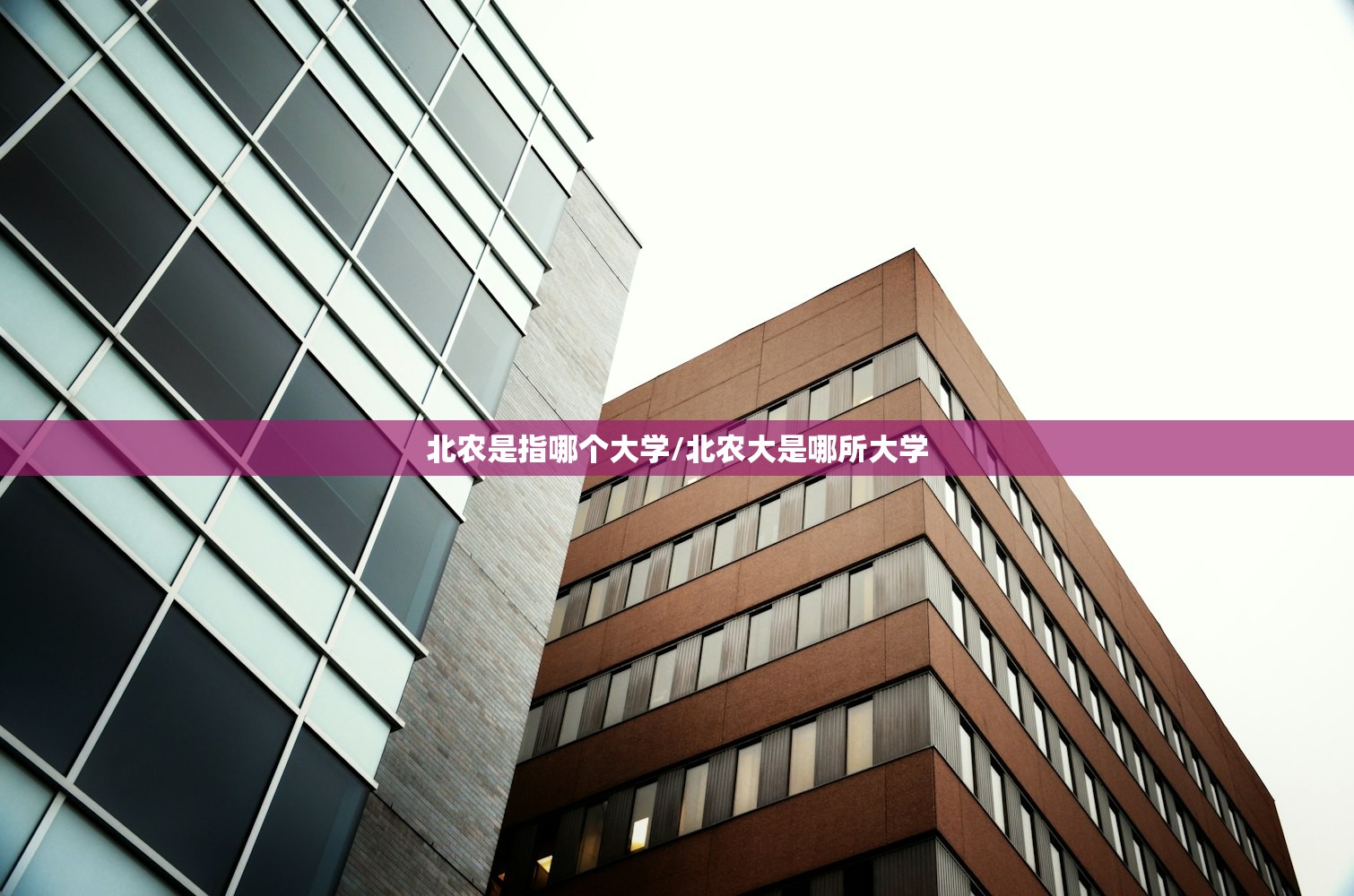 北农是指哪个大学/北农大是哪所大学