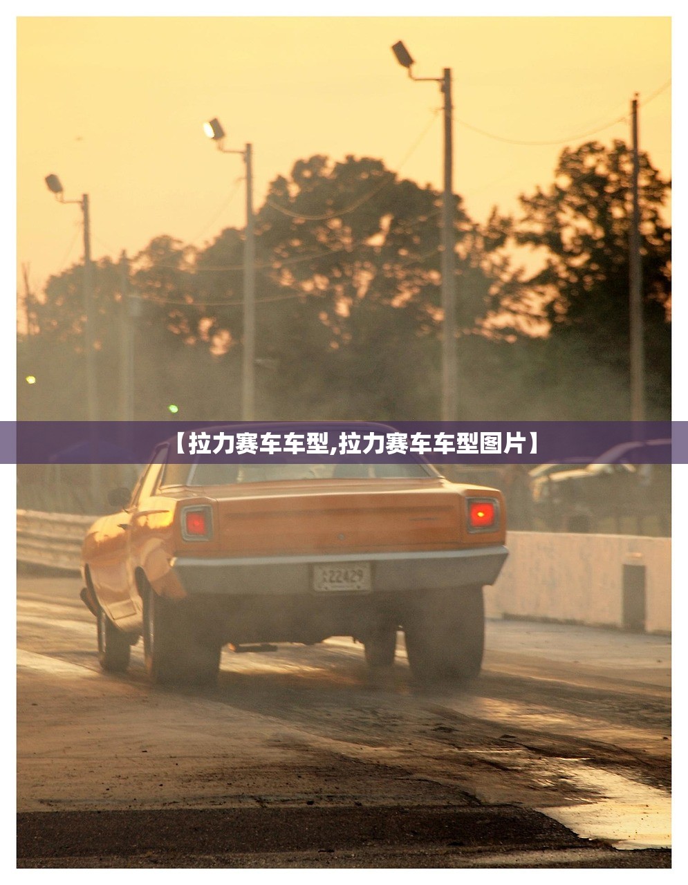 【拉力赛车车型,拉力赛车车型图片】