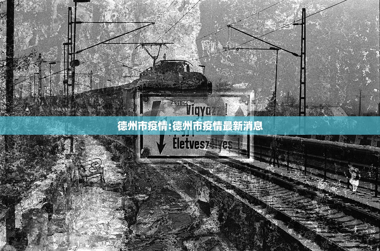 德州市疫情:德州市疫情最新消息