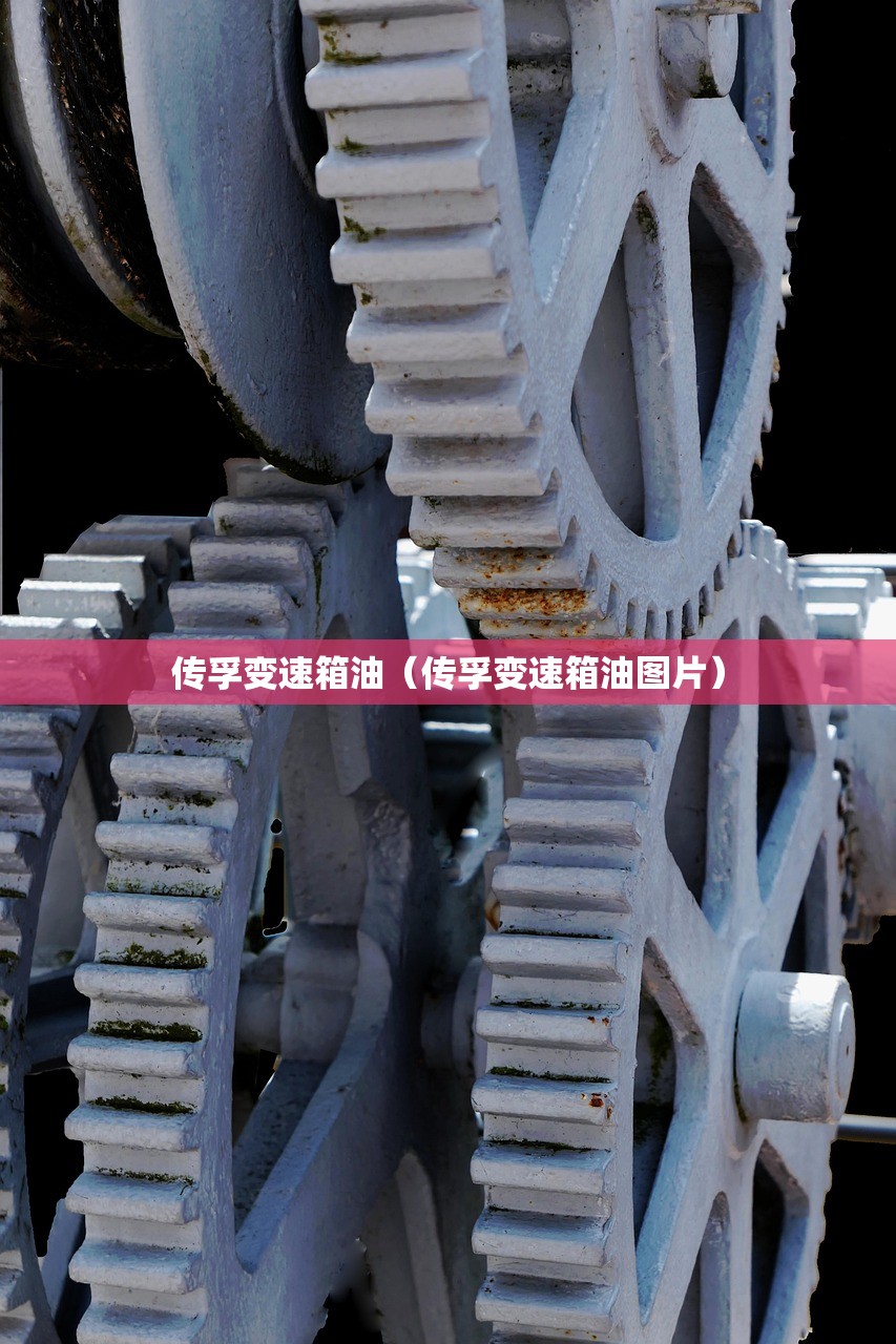 传孚变速箱油（传孚变速箱油图片）