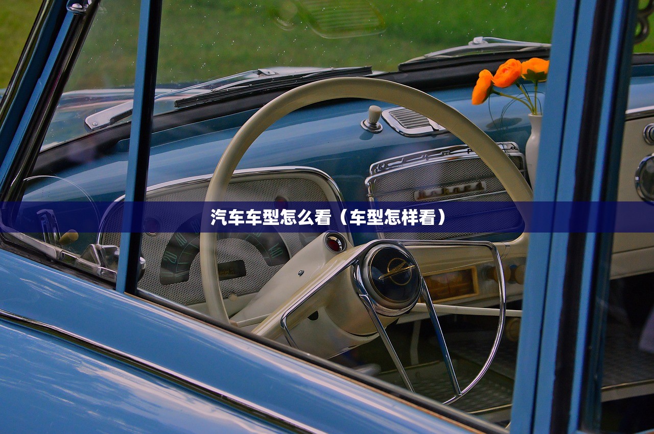 汽车车型怎么看（车型怎样看）
