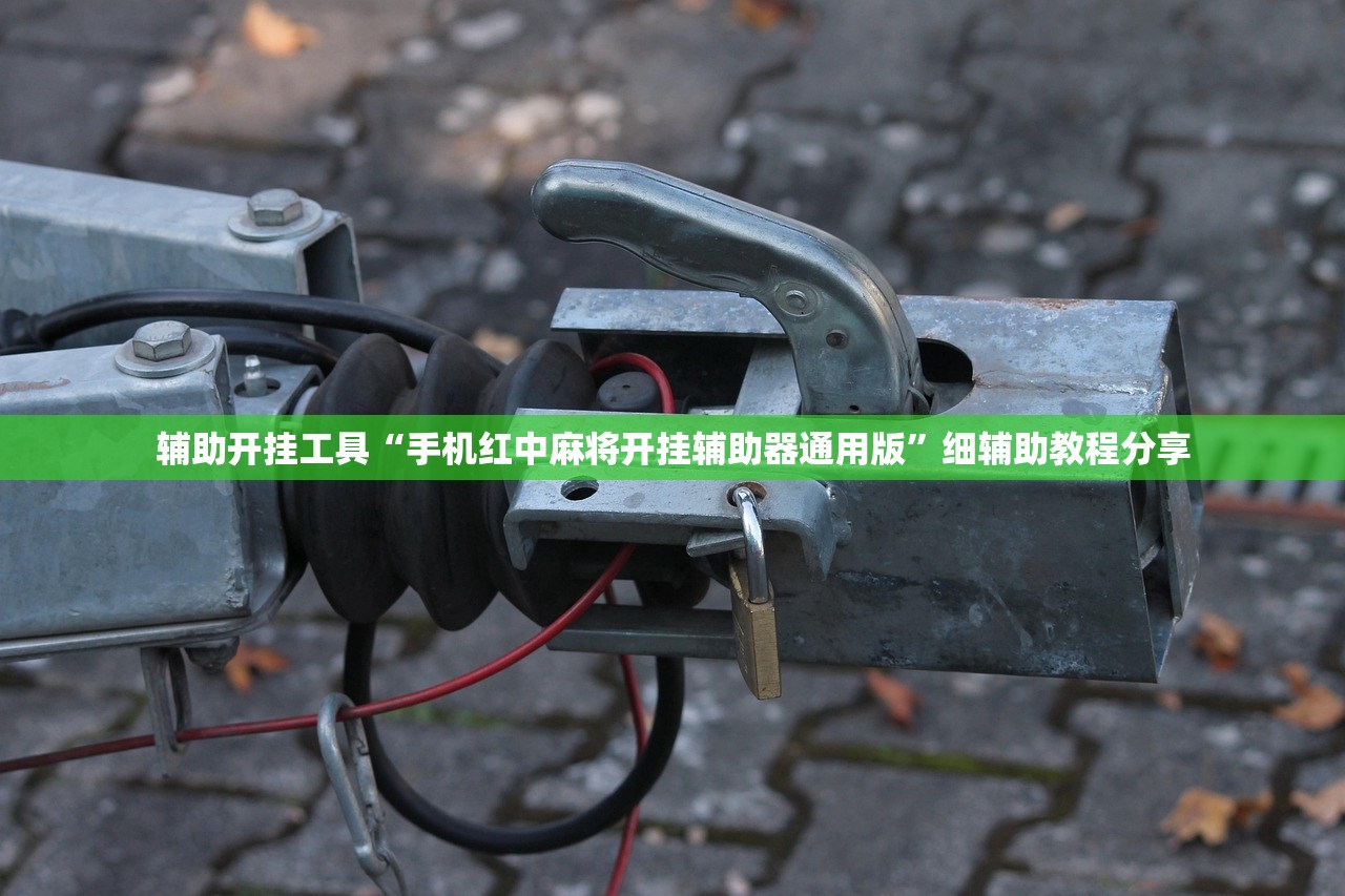 辅助开挂工具“手机红中麻将开挂辅助器通用版”细辅助教程分享