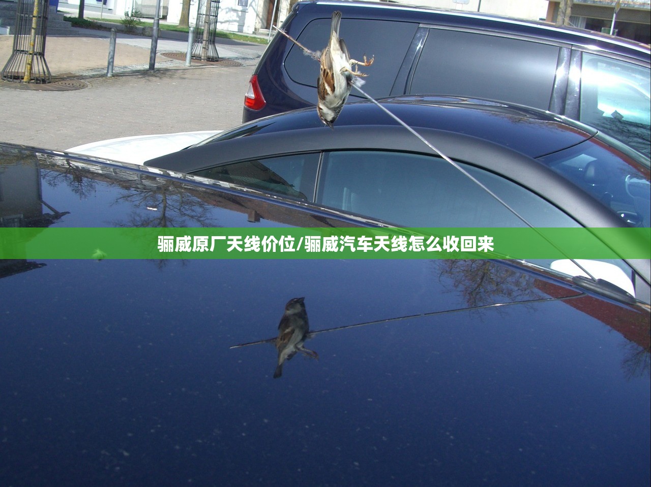 教程辅助!“微乐山东麻将怎么开挂”开挂辅助脚本+详细开挂安装教程