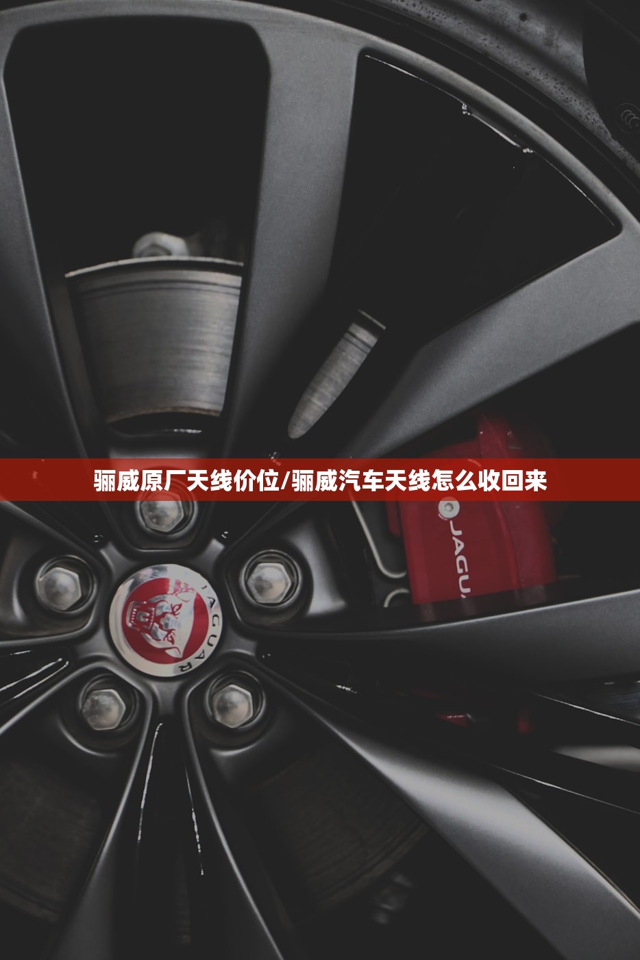 骊威原厂天线价位/骊威汽车天线怎么收回来