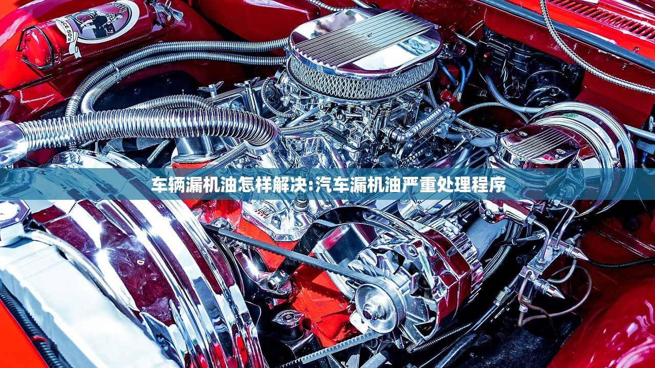 车辆漏机油怎样解决:汽车漏机油严重处理程序