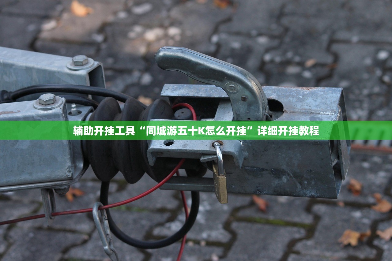 玩家辅助神器：掌乐宝透视挂”详细外挂透视辅助软件教程