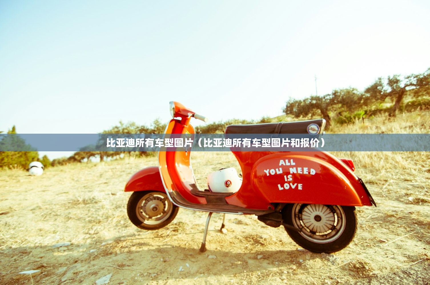 比亚迪所有车型图片（比亚迪所有车型图片和报价）