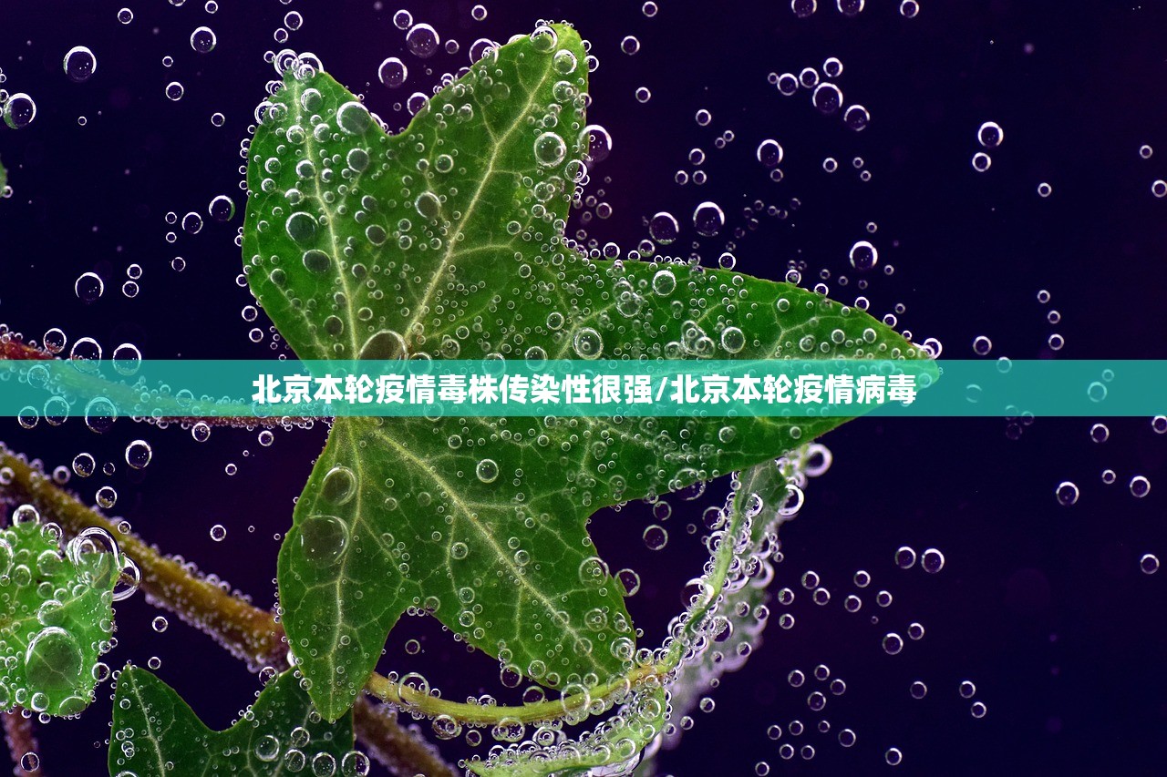 北京本轮疫情毒株传染性很强/北京本轮疫情病毒