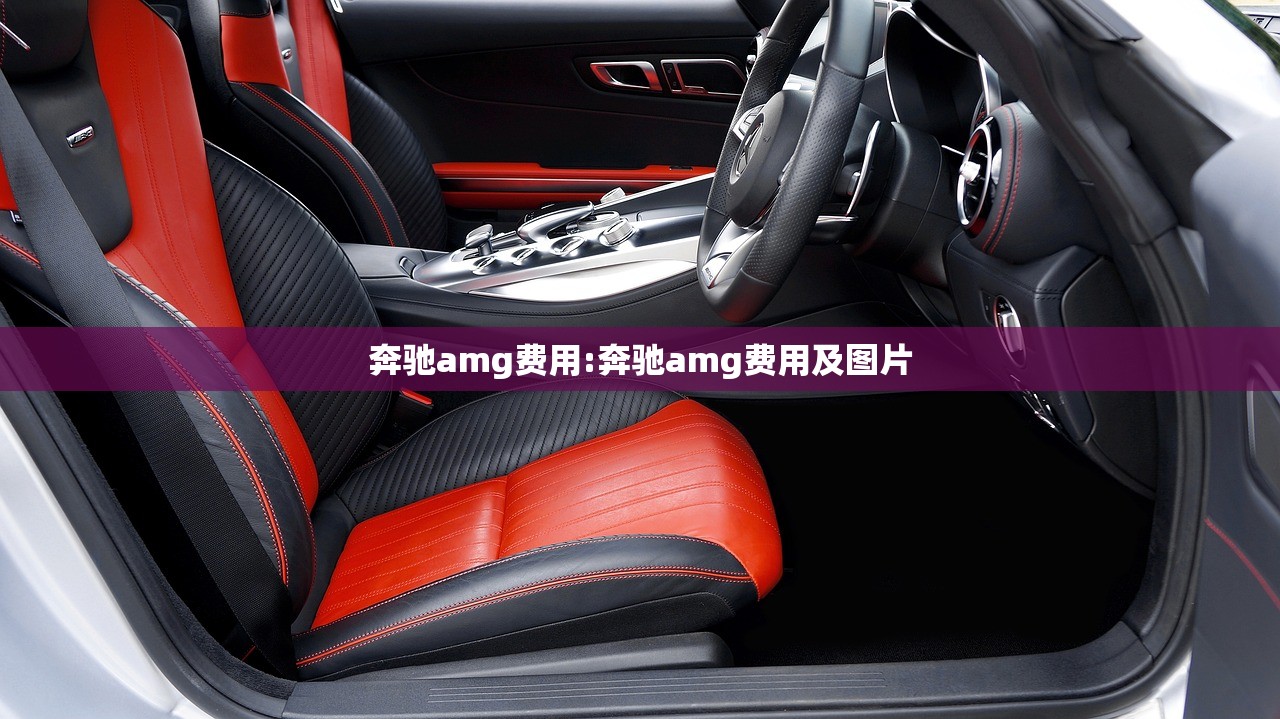 奔驰amg费用:奔驰amg费用及图片