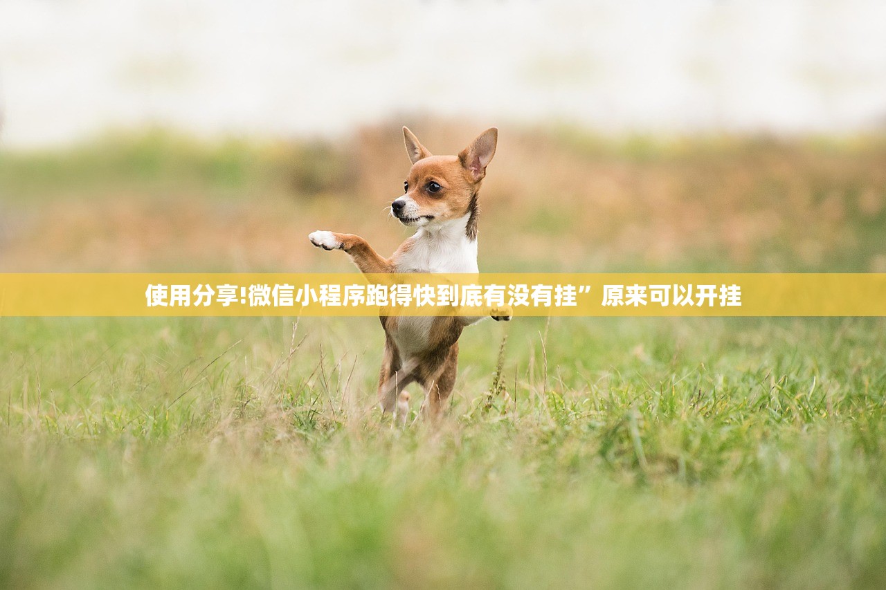 玩家辅助神器：中至吉安麻将怎么开挂”详细外挂透视辅助软件教程