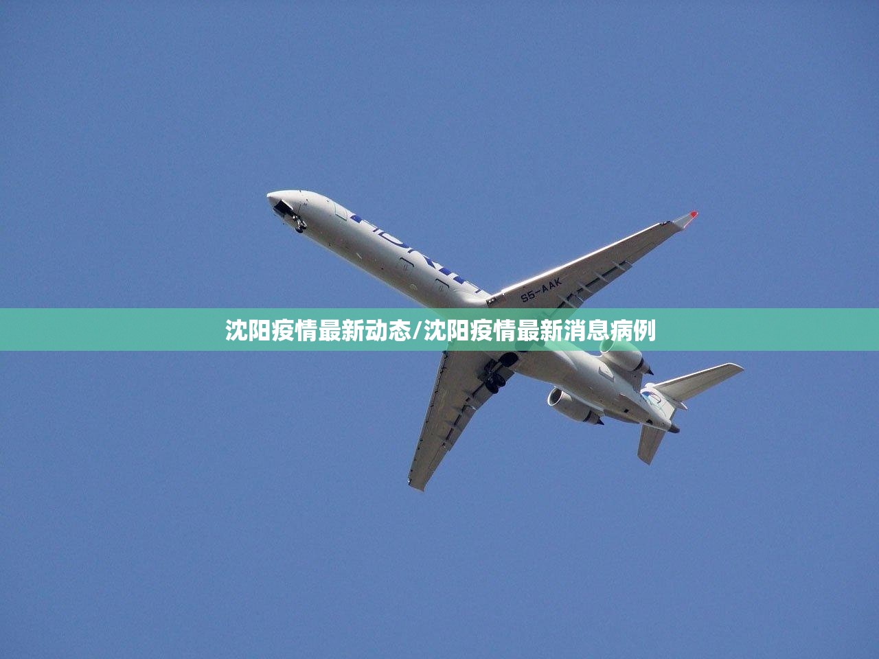 沈阳疫情最新动态/沈阳疫情最新消息病例