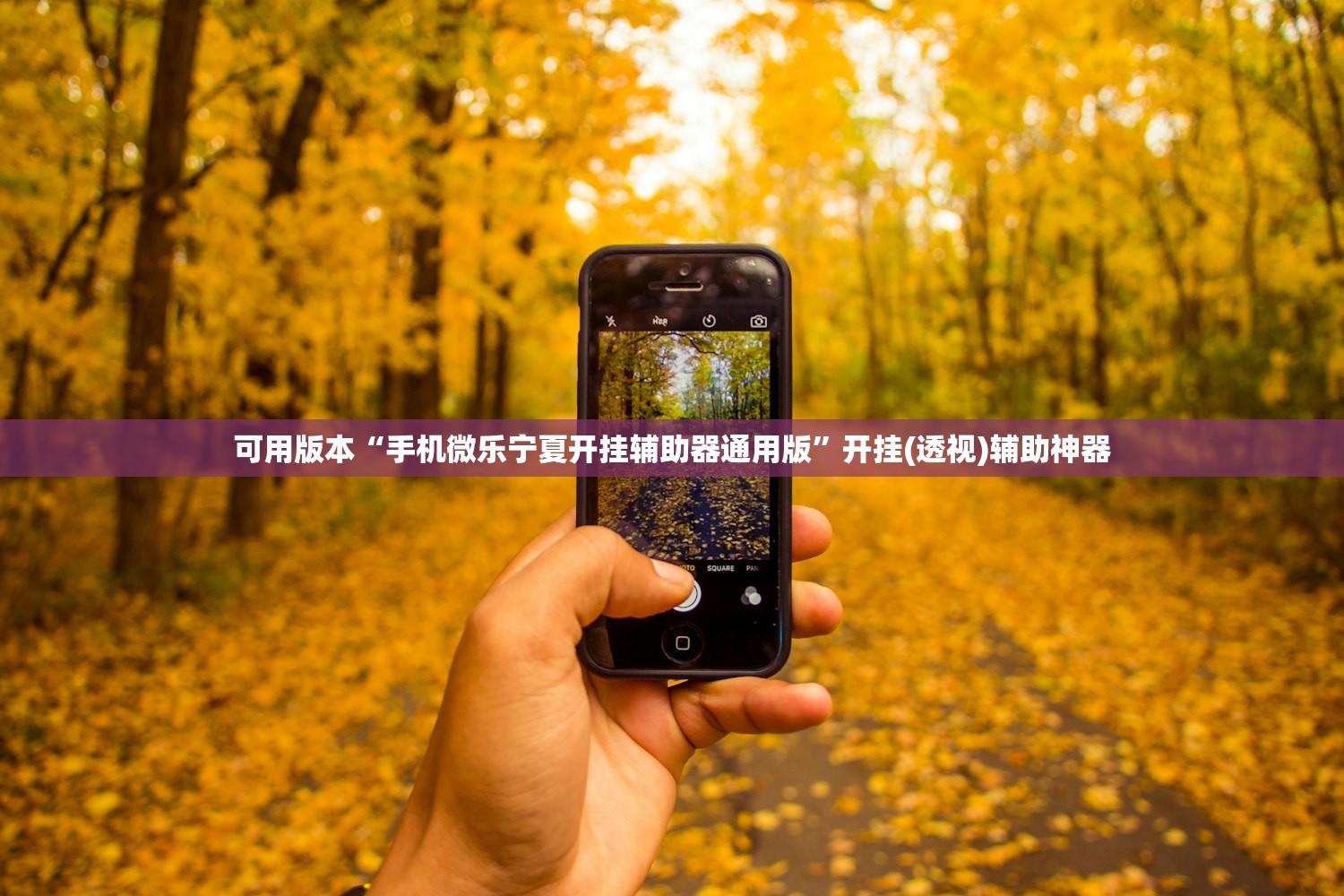 可用版本“手机微乐宁夏开挂辅助器通用版	”开挂(透视)辅助神器