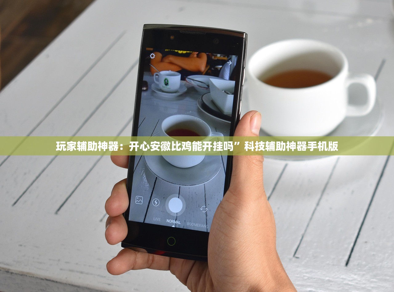 玩家辅助神器：开心安徽比鸡能开挂吗”科技辅助神器手机版