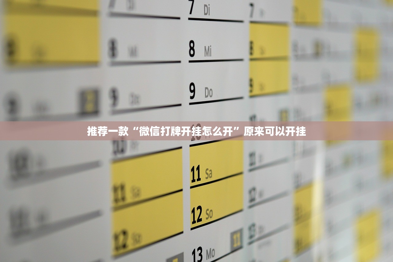 软件分享“微乐二七王有挂吗”细辅助教程分享