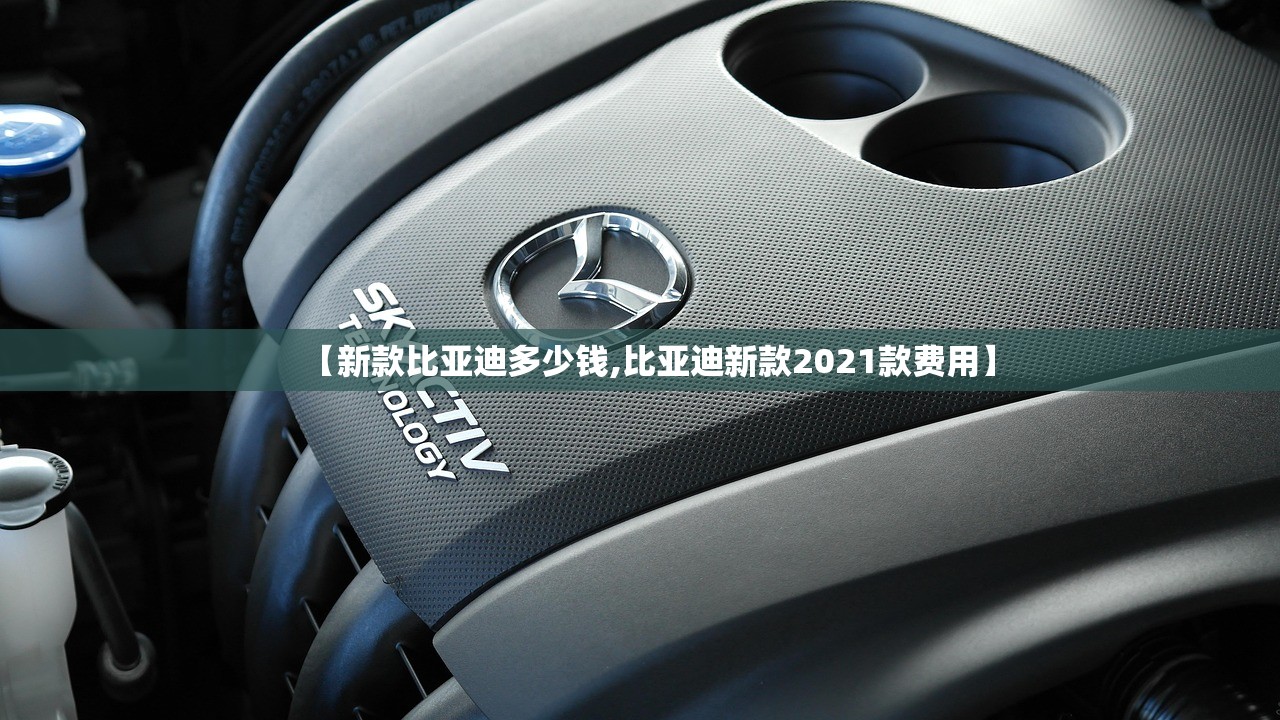 软件分享“新卡农大厅开挂”科技辅助神器手机版