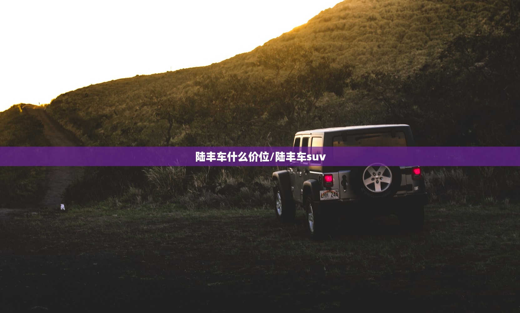 陆丰车什么价位/陆丰车suv